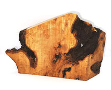 画像をギャラリービューアに読み込む, natural olive wood grain, bark, knots