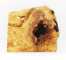 画像をギャラリービューアに読み込む, natural olive wood grain, bark, knots