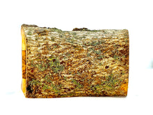 画像をギャラリービューアに読み込む, natural olive wood grain, bark, knots
