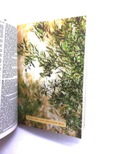 Load image into Gallery viewer, Olive Wood Cover Bible - English
